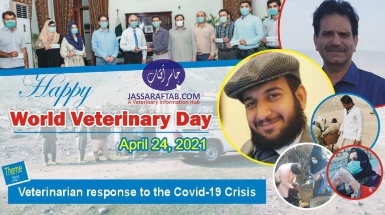 World Veterinary Day 2021 | Veterinarian response to the Covid-19 Crisis
