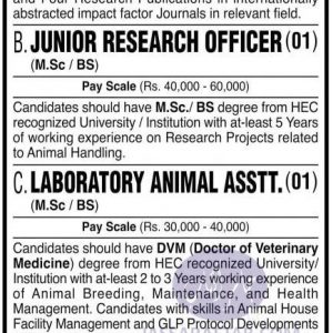 veterinary job karachi university
