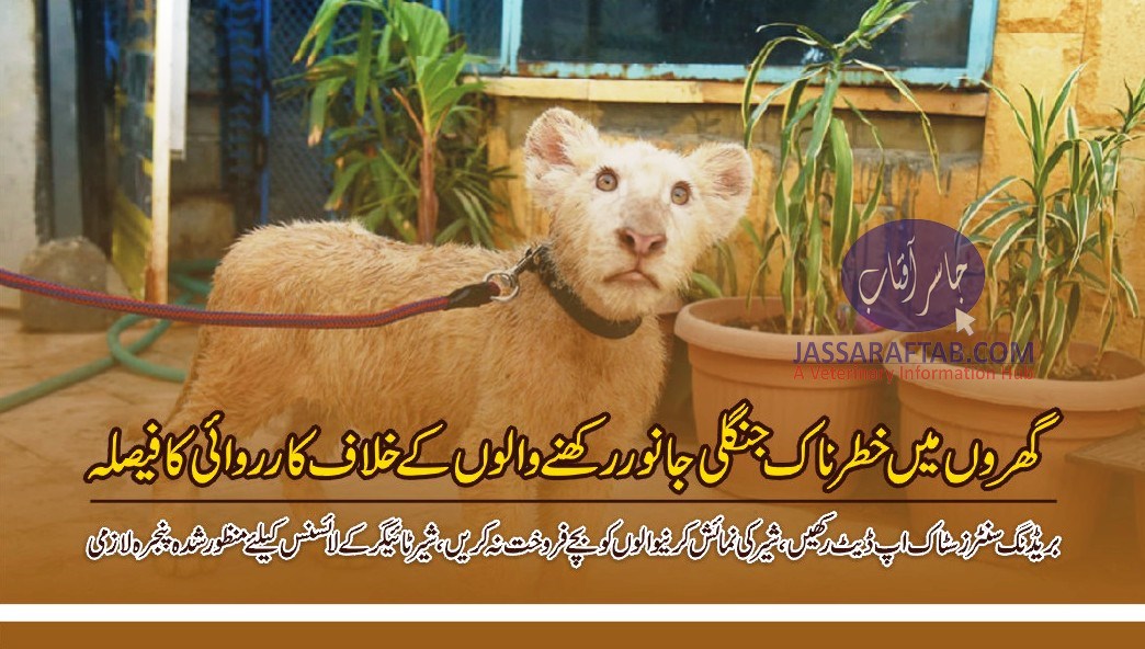 Action against keeping wild animals as pets