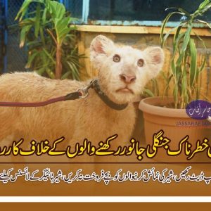 Action against home based wild life
