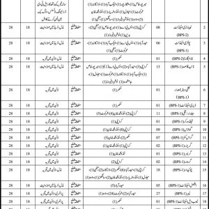 Jobs for poultry attendant