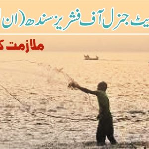 Jobs in Fisheries Inland Sindh