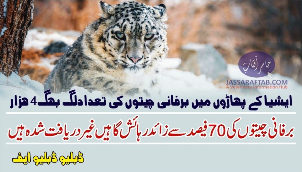 WWF Report on Snow leopard Population