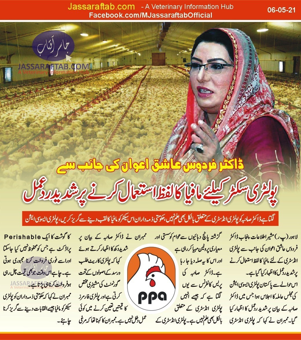 Poultry Sector as Mafia