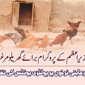 Backyard Poultry Project in Multan