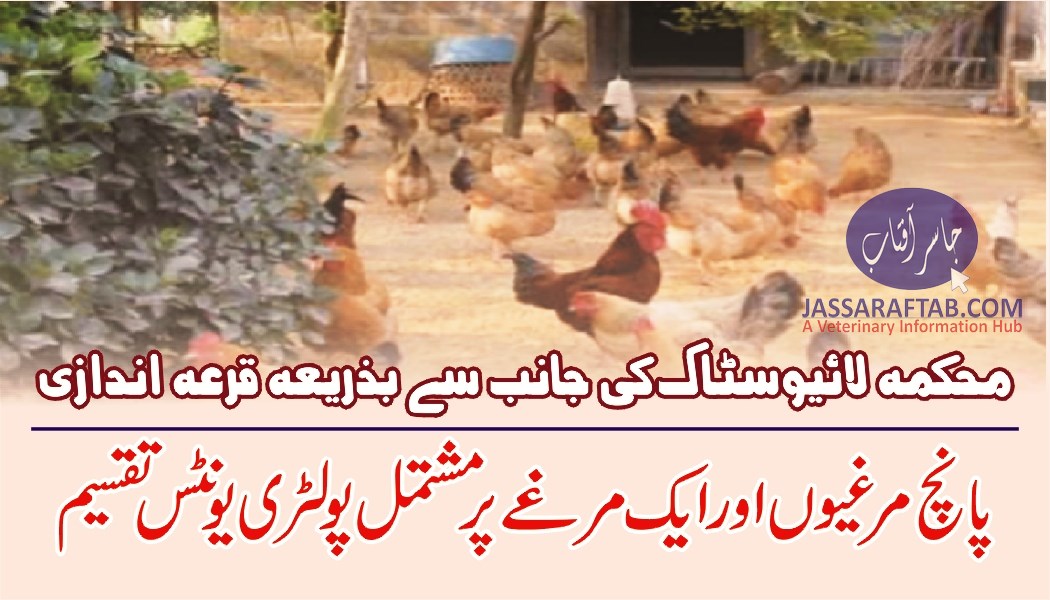 Poultry units distribution among farmers