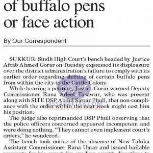 Shifting of Buffalo pens