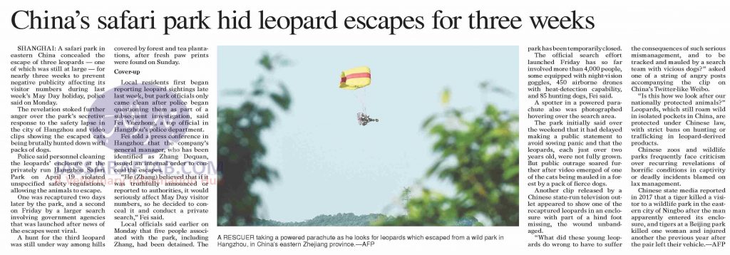 leopards escaped from Hangzhou Safari Park