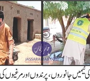 Vaccination of animals in Multan