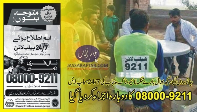 9211 livestock helpline