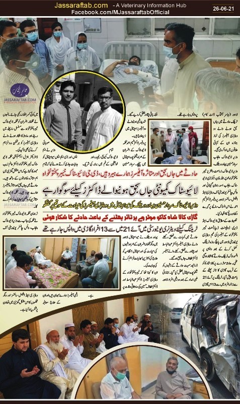تمام لائیوسٹاک کمیونٹی جاں بحق ہونے والے ویٹرنری ڈاکٹرز کیلئے سوگوار، وزیر لائیوسٹاک پنجاب