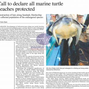Protection of Marine turtle beaches