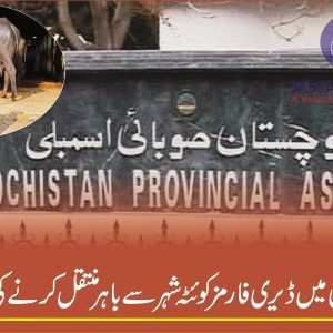 Shifting of Dairy farms in Quetta
