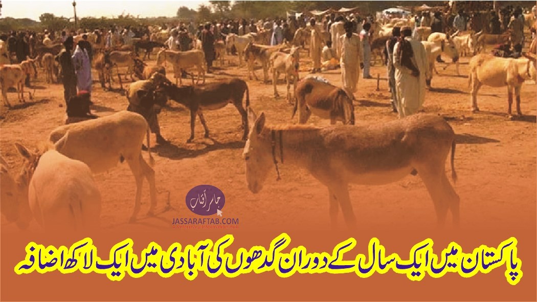 پاکستان میں ایک سال کے دوران گدھوں کی آبادی میں ایک لاکھ اضافہ