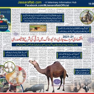 Report on Economic survey of Pakistan | Livestock data and poultry data | Livestock Population, Livestock Census & Poultry Industry Statistics | Livestock Statistics