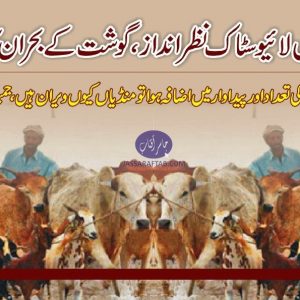 Shortage of meat in Pakistan