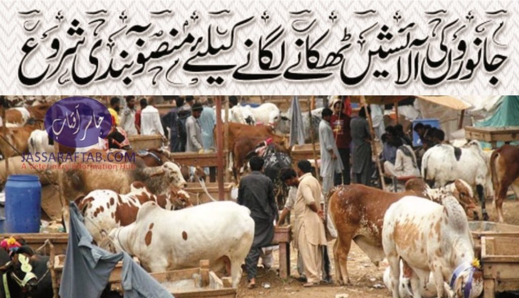 Plan to dispose of animal waste on Eid Ul Azha