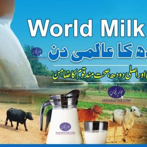 World milk day