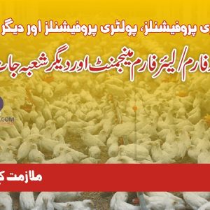 Poultry farm management job