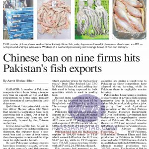 ban on exports of fish to China