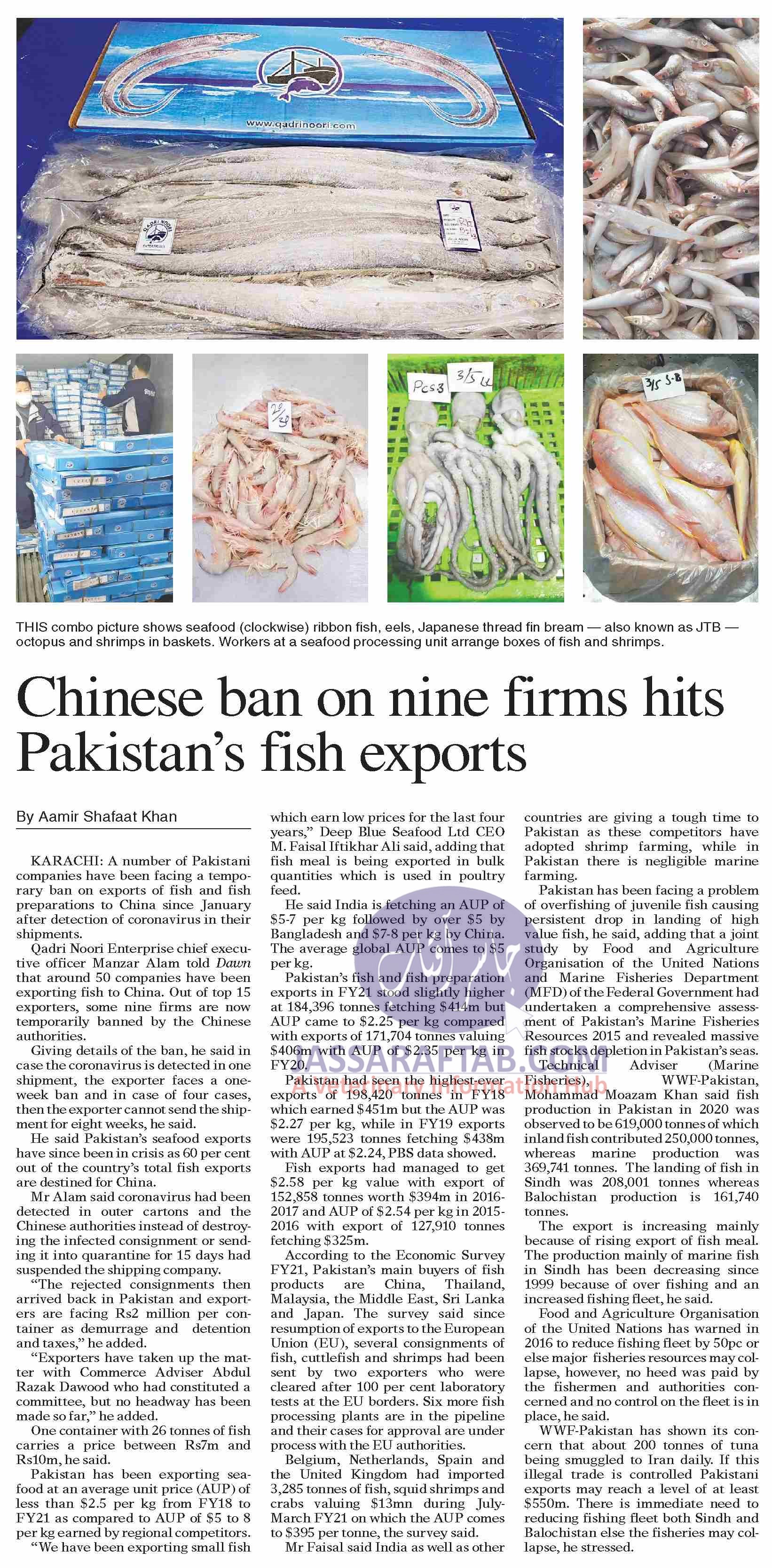 ban on exports of fish to China 