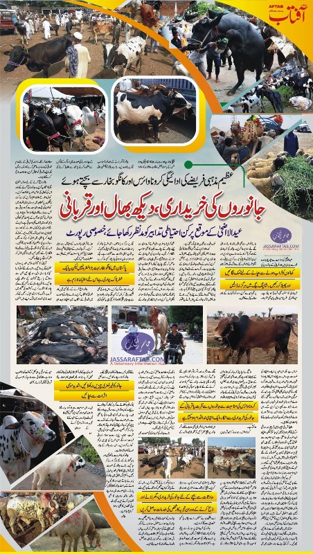 Care of qurbani animals