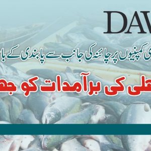 Chinese Ban on Fish Export