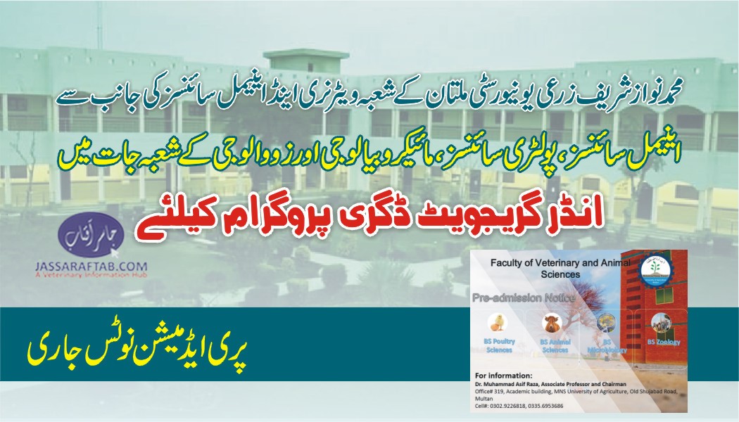 Nawaz sharif agriculture university admissions