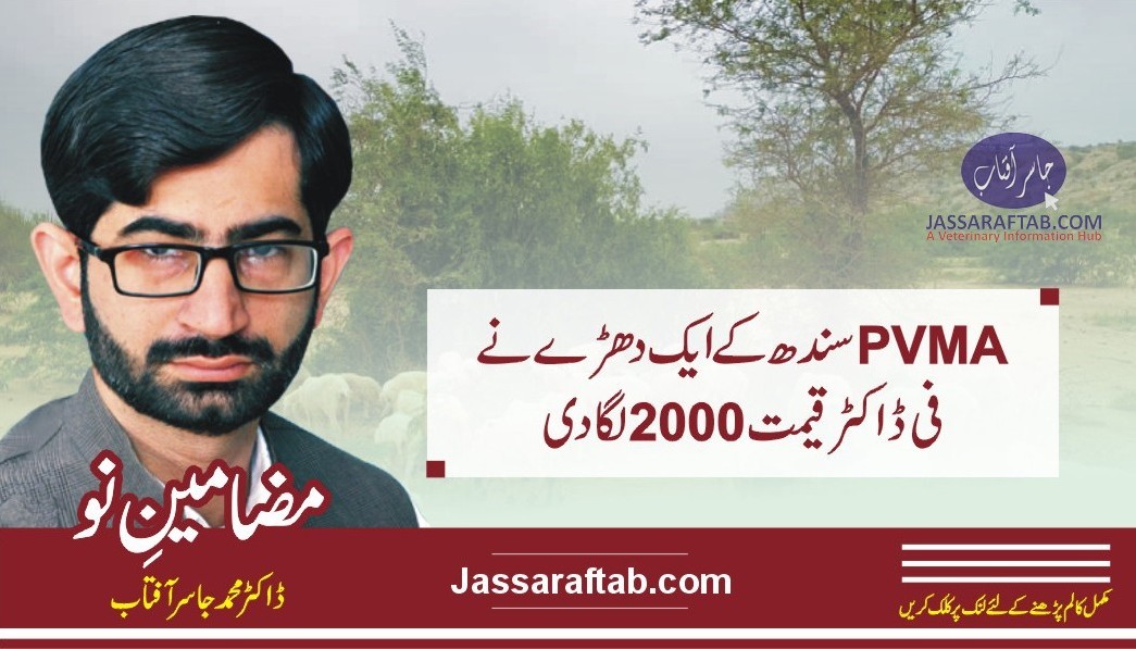 پی وی ایم اے سندھ کے ایک دھڑے نے فی ڈاکٹر قیمت دو ہزار لگا دی ۔۔ مضامینِ نو، ڈاکٹر محمد جاسر ۤفتاب