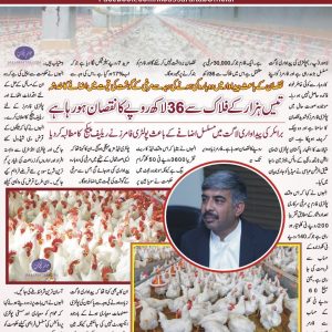 Poultry farming cost of production