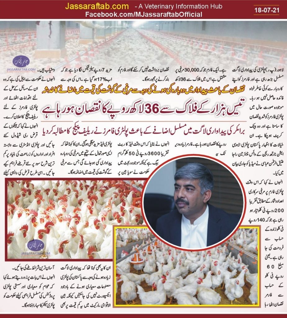 poultry farming cost of production 