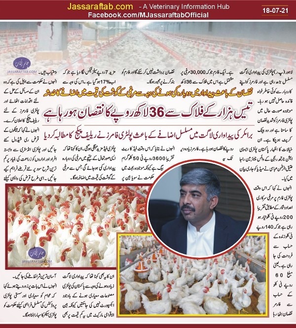 poultry prices cost of production