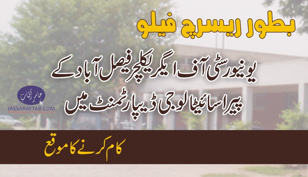 یونیورسٹی آف ایگریکلچر فیصل آباد کے پیراسائیٹالوجی ڈیپارٹمنٹ میں بطور ریسرچ فیلو ملازمت کا موقع