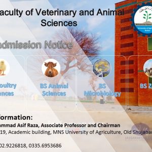 Animal sciences degree