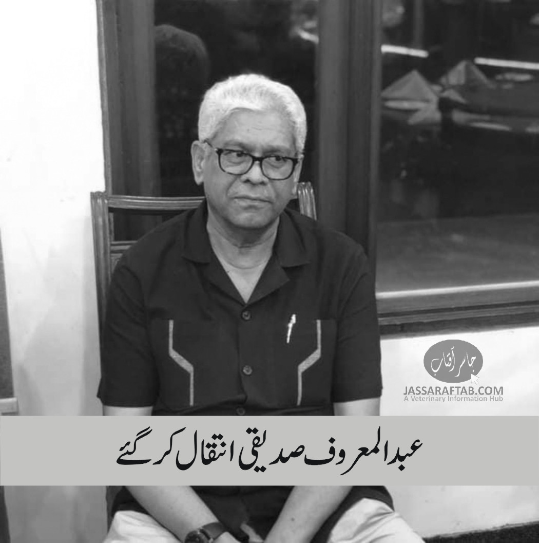 کے اینڈ اینز کے عبدالمعروف صدیقی انتقال کر گئے