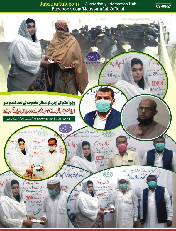 Cheques distributed among farmers by DC Kasur Asia Gull