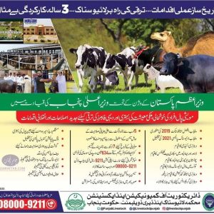 Five years Performance of livestock department