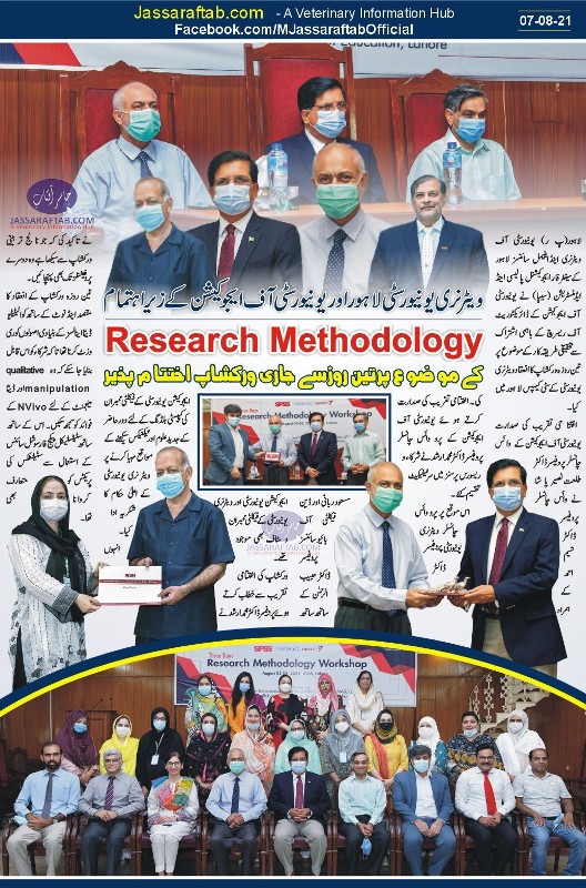 research methodology and qualitative analysis
