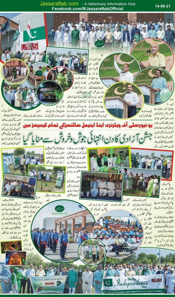 Independence Day Celebrations at UVAS