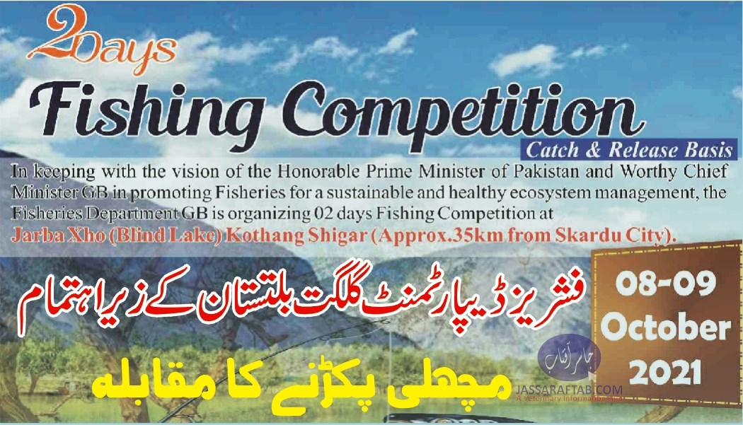 Fishing competition