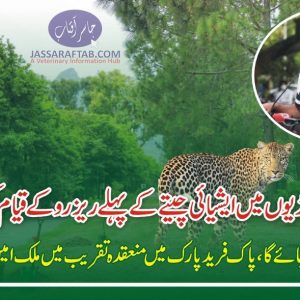 Wild Cats conservation and leopard Conservation