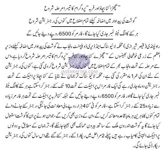 Save the calf project in Rawalpindi