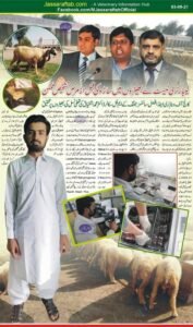 diagnosis of mastitis in sheep