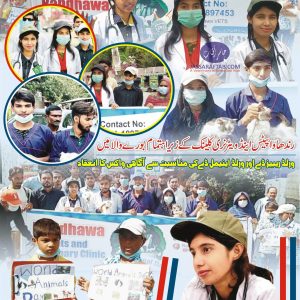 Randhawa Pets Clinic observed World Rabies Day and World Animal Day