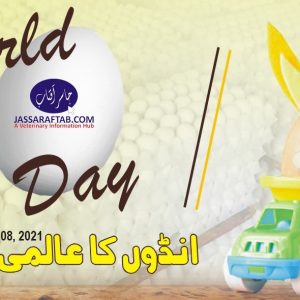 World Egg Day 2021 Banner
