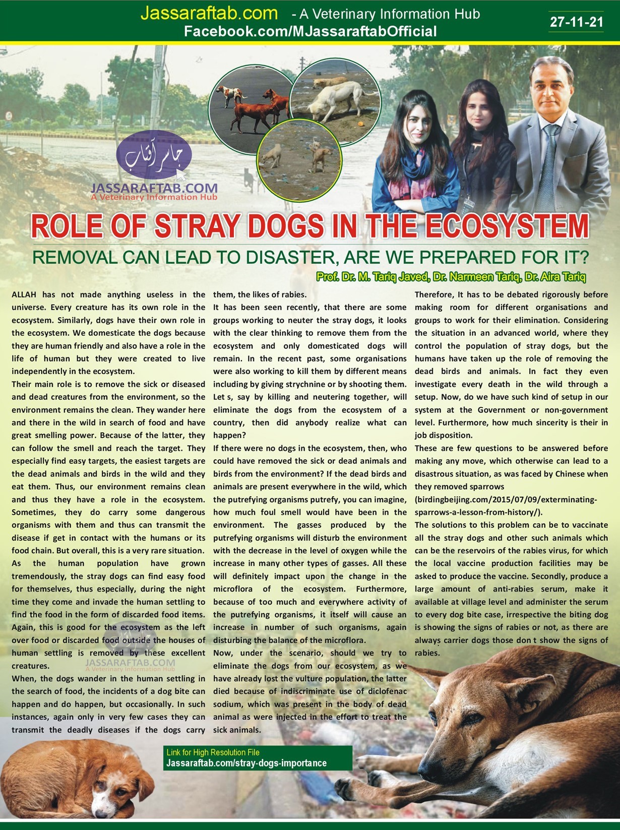 Importance of stray Dogs in ecosystem