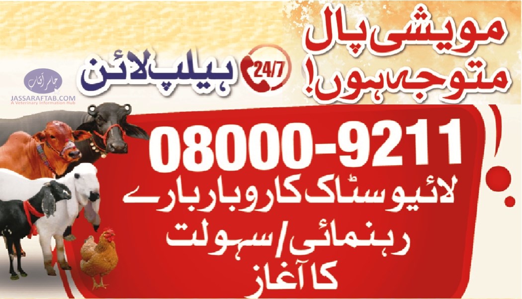 Livestock Helpline for livestock farmers.
