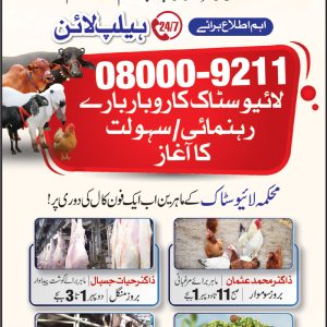 Livestock Helpline for livestock farmers.