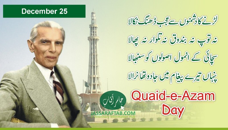 Quaid e Azam Day