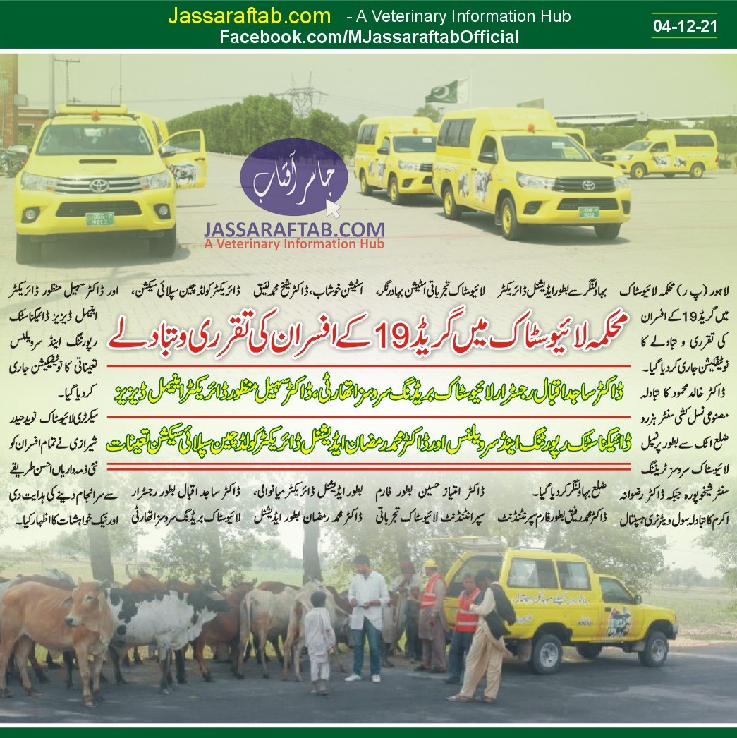 Promotions in Livestock | Postings in livestock Department 
